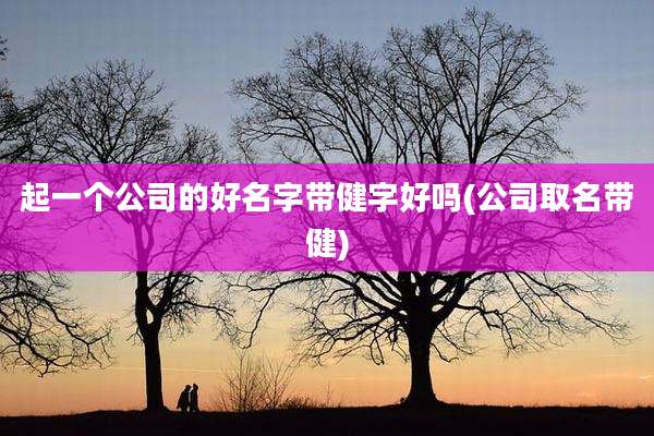 起一个公司的好名字带健字好吗(公司取名带健)