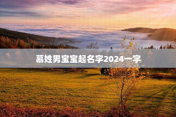 慕姓男宝宝起名字2024一字