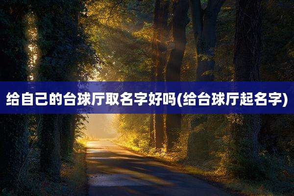 给自己的台球厅取名字好吗(给台球厅起名字)