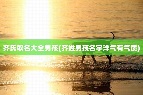 齐氏取名大全男孩(齐姓男孩名字洋气有气质)