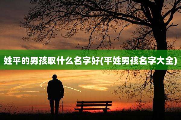 姓平的男孩取什么名字好(平姓男孩名字大全)