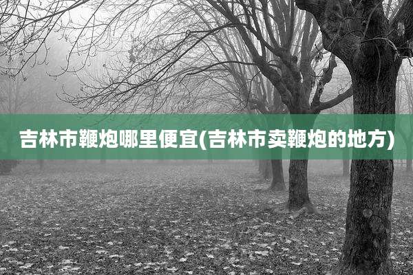 吉林市鞭炮哪里便宜(吉林市卖鞭炮的地方)