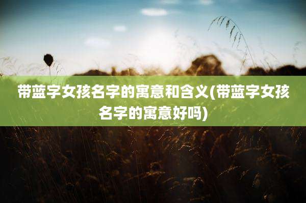 带蓝字女孩名字的寓意和含义(带蓝字女孩名字的寓意好吗)