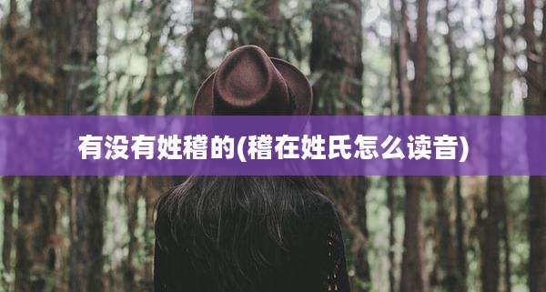 有没有姓稽的(稽在姓氏怎么读音)