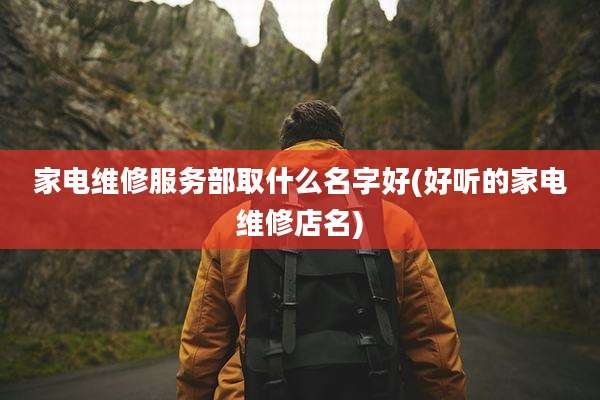 家电维修服务部取什么名字好(好听的家电维修店名)