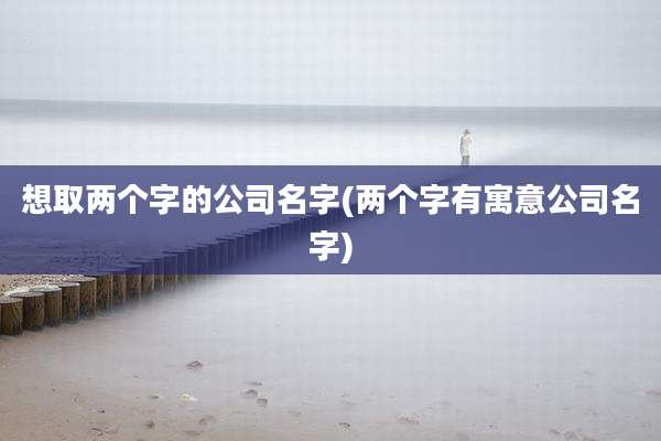 想取两个字的公司名字(两个字有寓意公司名字)