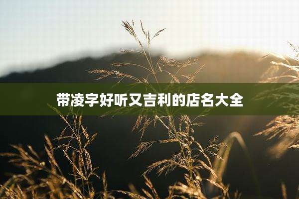 带凌字好听又吉利的店名大全