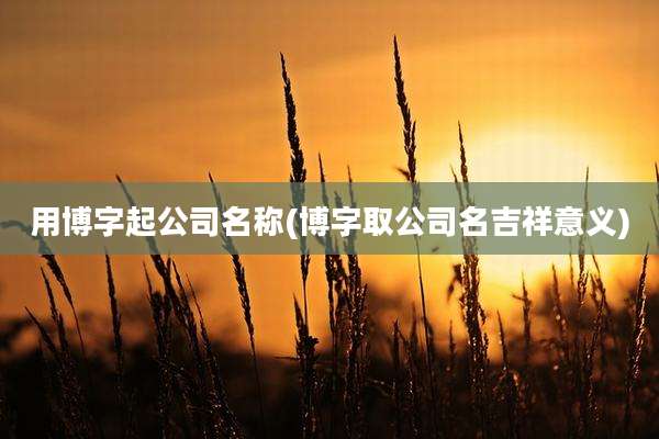 用博字起公司名称(博字取公司名吉祥意义)