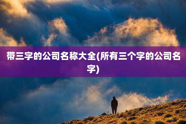 带三字的公司名称大全(所有三个字的公司名字)