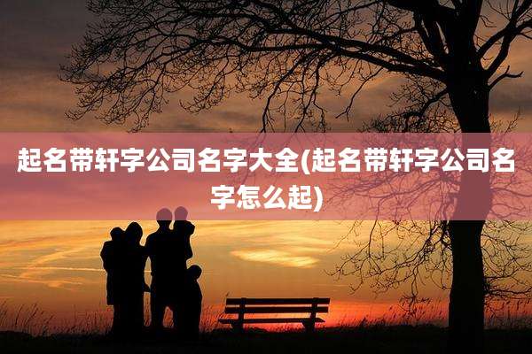 起名带轩字公司名字大全(起名带轩字公司名字怎么起)
