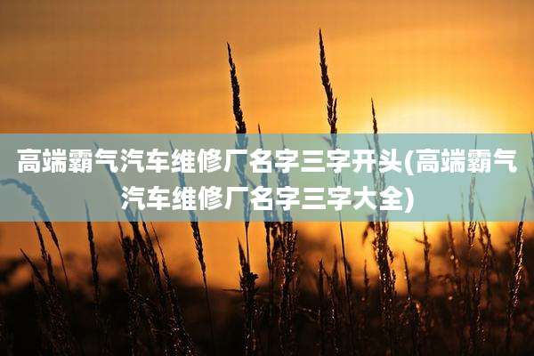 高端霸气汽车维修厂名字三字开头(高端霸气汽车维修厂名字三字大全)