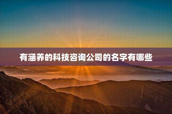 有涵养的科技咨询公司的名字有哪些