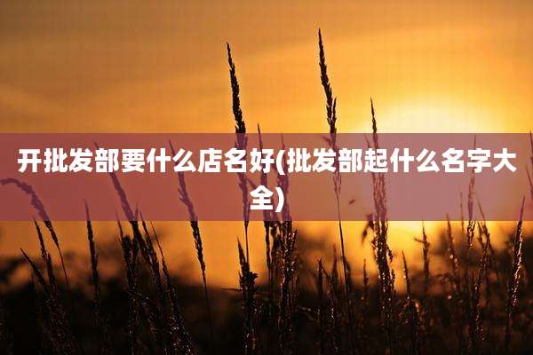 开批发部要什么店名好(批发部起什么名字大全)