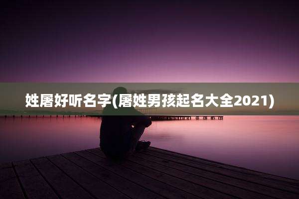 姓屠好听名字(屠姓男孩起名大全2021)