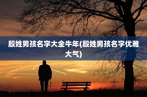 殷姓男孩名字大全牛年(殷姓男孩名字优雅大气)