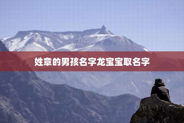 姓章的男孩名字龙宝宝取名字