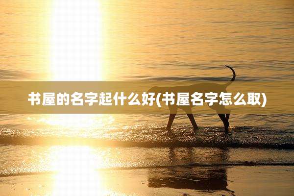 书屋的名字起什么好(书屋名字怎么取)