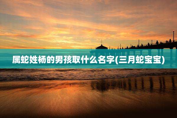 属蛇姓杨的男孩取什么名字(三月蛇宝宝)