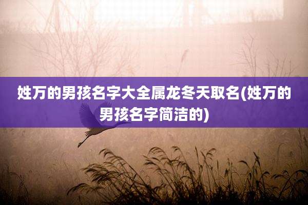 姓万的男孩名字大全属龙冬天取名(姓万的男孩名字简洁的)