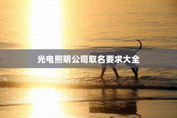 光电照明公司取名要求大全