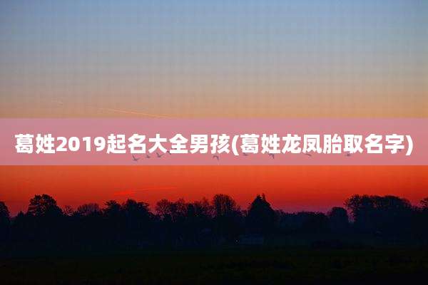 葛姓2019起名大全男孩(葛姓龙凤胎取名字)