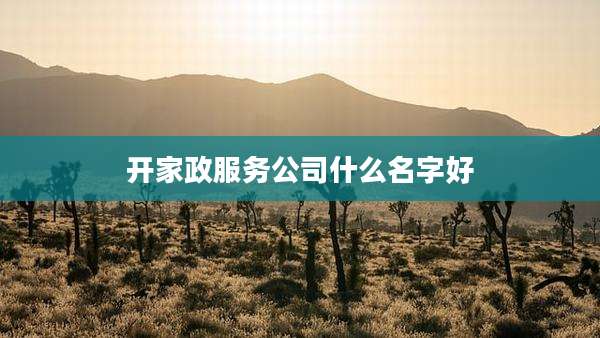 开家政服务公司什么名字好