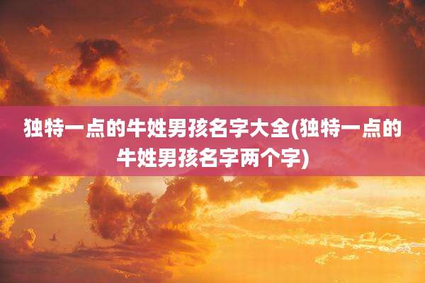 独特一点的牛姓男孩名字大全(独特一点的牛姓男孩名字两个字)
