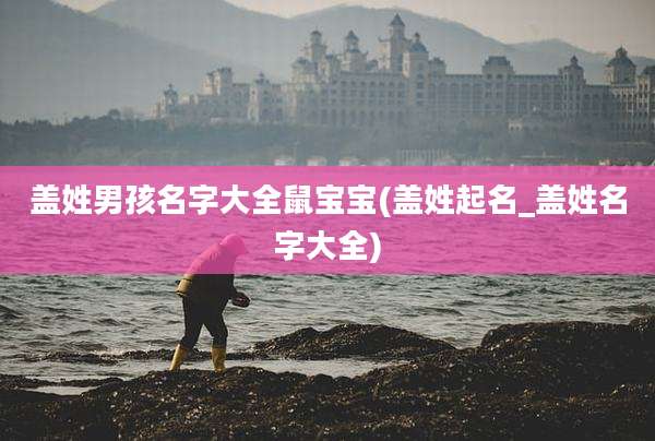 盖姓男孩名字大全鼠宝宝(盖姓起名_盖姓名字大全)