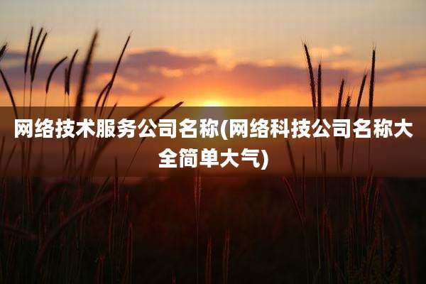网络技术服务公司名称(网络科技公司名称大全简单大气)