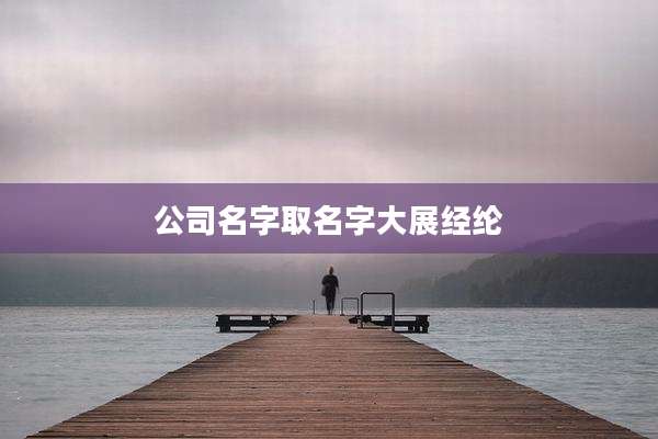 公司名字取名字大展经纶