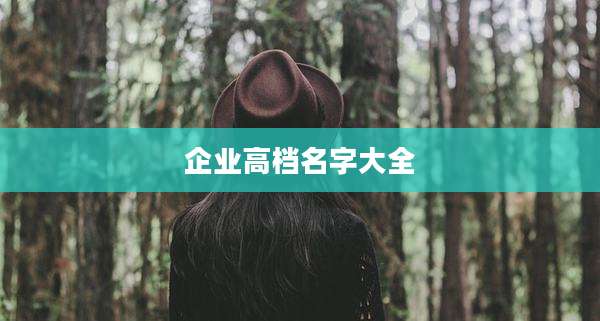 企业高档名字大全