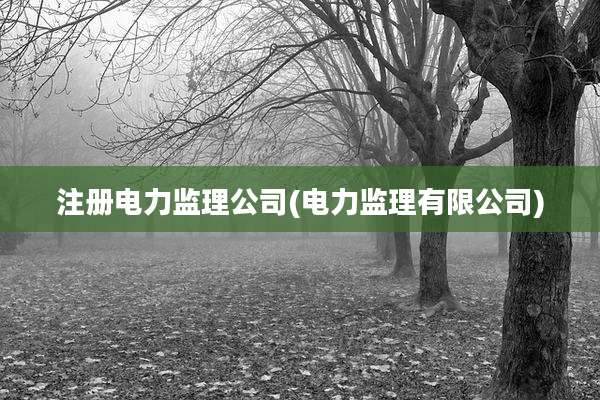 注册电力监理公司(电力监理有限公司)