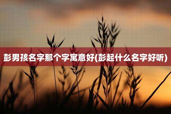 彭男孩名字那个字寓意好(彭起什么名字好听)