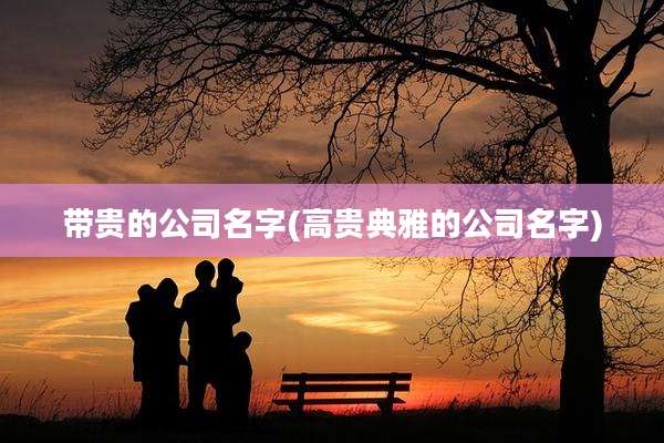 带贵的公司名字(高贵典雅的公司名字)