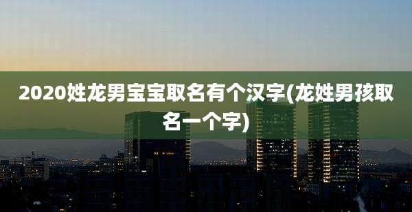 2020姓龙男宝宝取名有个汉字(龙姓男孩取名一个字)