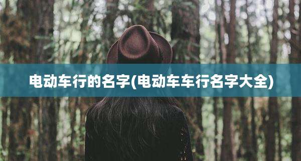 电动车行的名字(电动车车行名字大全)