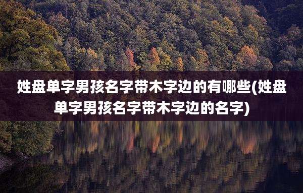 姓盘单字男孩名字带木字边的有哪些(姓盘单字男孩名字带木字边的名字)