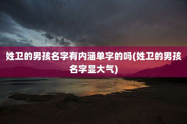 姓卫的男孩名字有内涵单字的吗(姓卫的男孩名字显大气)