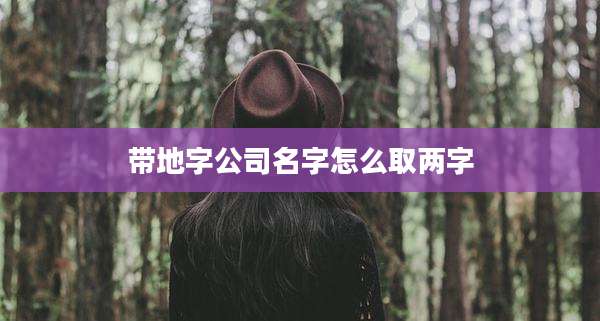 带地字公司名字怎么取两字