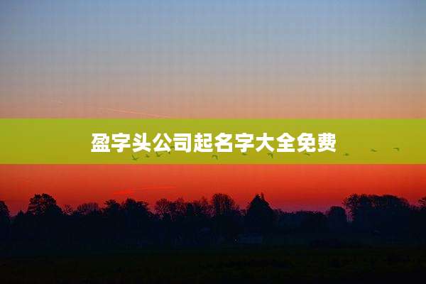 盈字头公司起名字大全免费