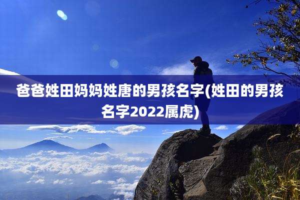 爸爸姓田妈妈姓唐的男孩名字(姓田的男孩名字2022属虎)