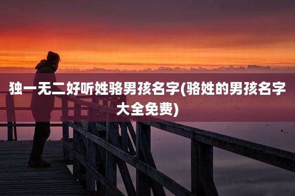 独一无二好听姓骆男孩名字(骆姓的男孩名字大全免费)