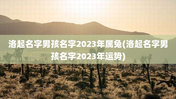 洛起名字男孩名字2023年属兔(洛起名字男孩名字2023年运势)