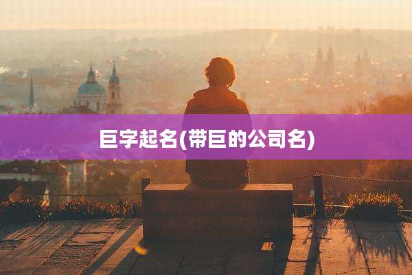 巨字起名(带巨的公司名)
