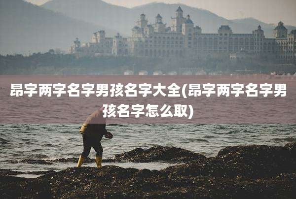 昂字两字名字男孩名字大全(昂字两字名字男孩名字怎么取)