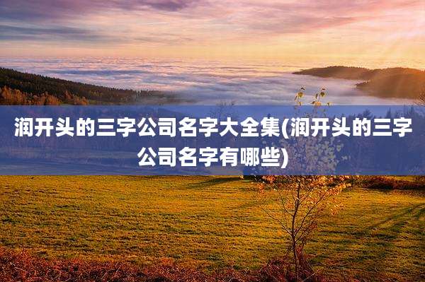 润开头的三字公司名字大全集(润开头的三字公司名字有哪些)