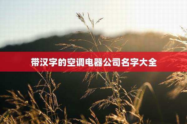 带汉字的空调电器公司名字大全