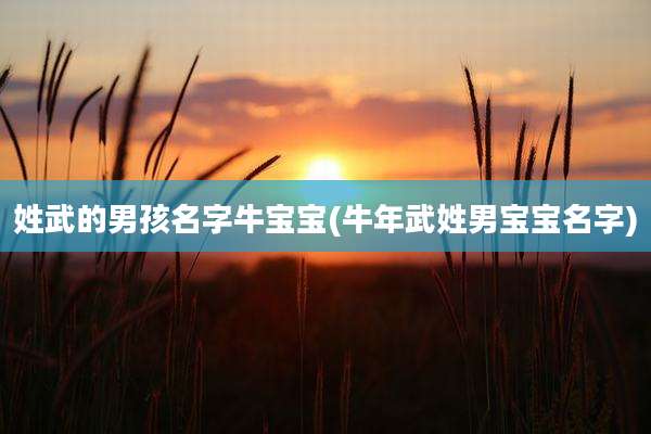 姓武的男孩名字牛宝宝(牛年武姓男宝宝名字)