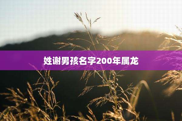 姓谢男孩名字200年属龙