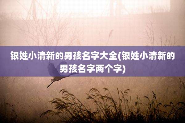 银姓小清新的男孩名字大全(银姓小清新的男孩名字两个字)